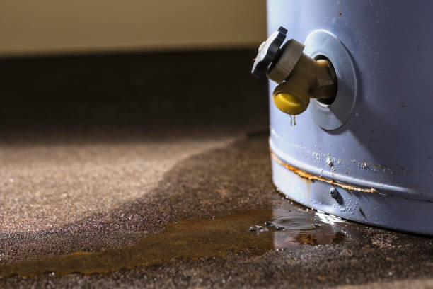 Best Basement water damage restoration  in Washburn, ND
