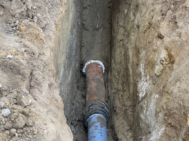 Best Sewage cleanup and water damage restoration  in Washburn, ND