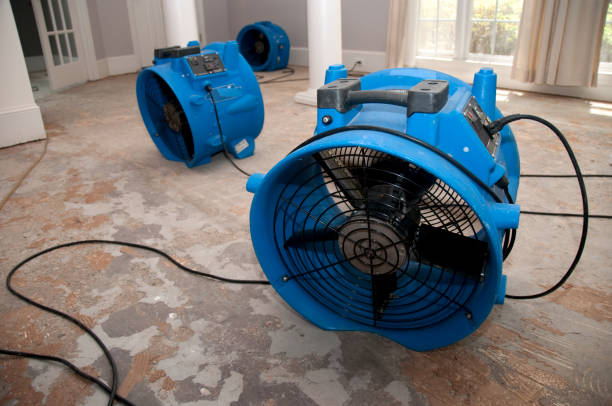 Best Water damage cleanup near me  in Washburn, ND