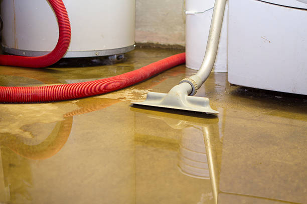 Water damage restoration mold remediation in ND
