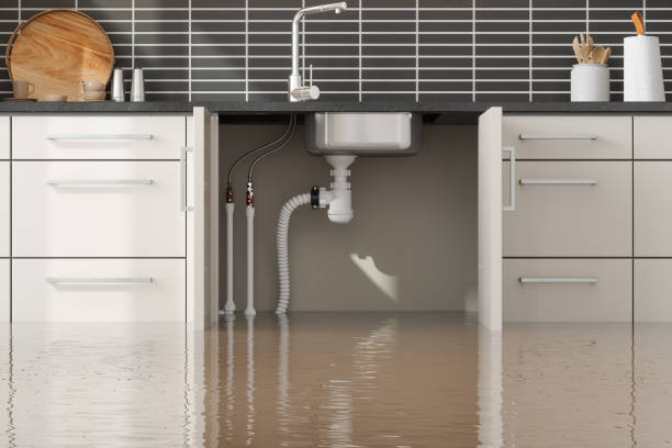 Best Residential water damage restoration  in Washburn, ND