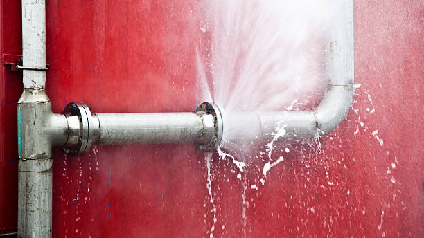 Best Mold removal after water damage  in Washburn, ND